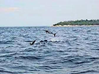 Pamilacan Island Tourist Inn And Restaurant Бохол Экстерьер фото